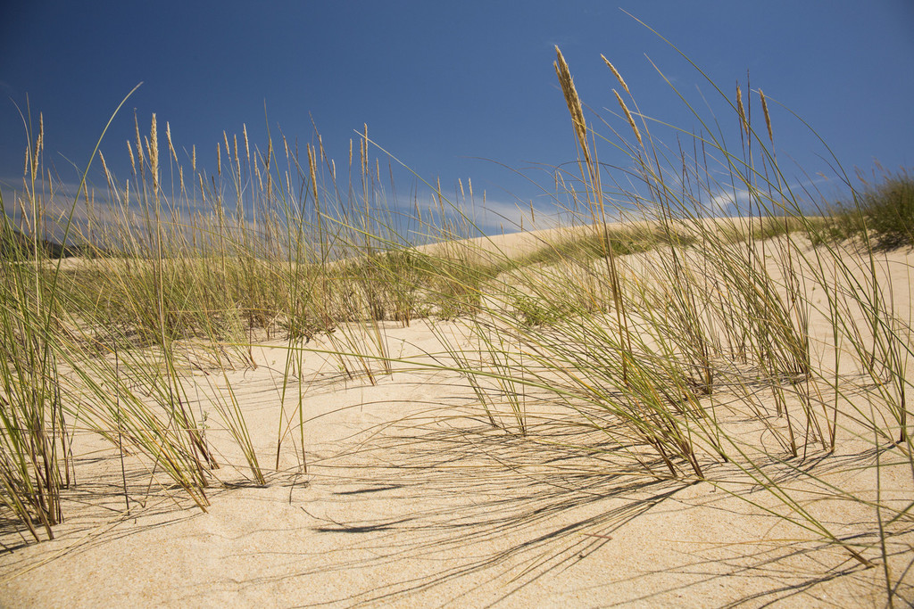 Une dune mobile unique