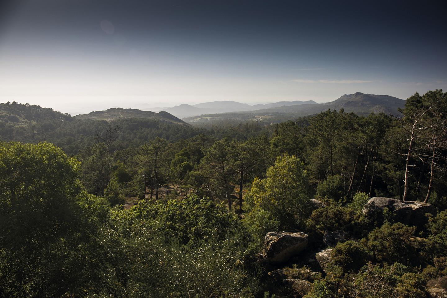 Parco naturale Monte Aloia