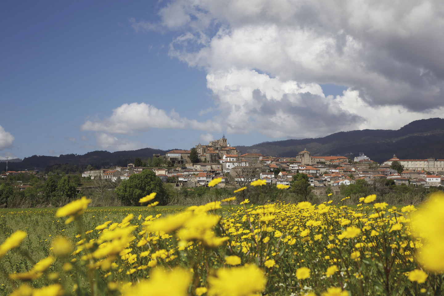 Itinerario di Baixo Miño