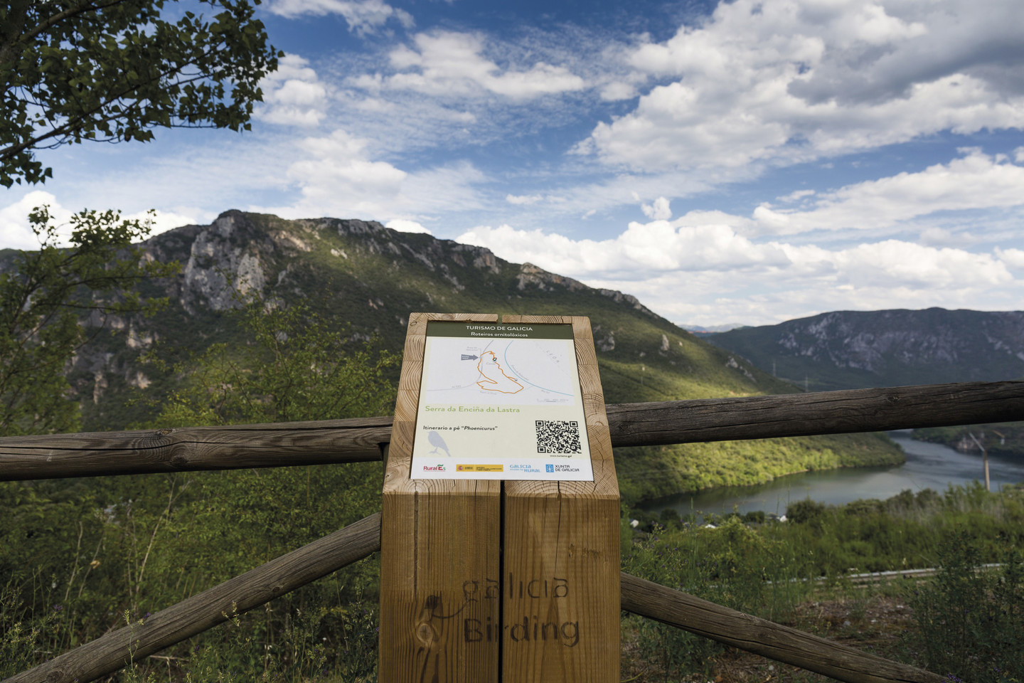 Galicia Birding en Serra da Enciña da Lastra