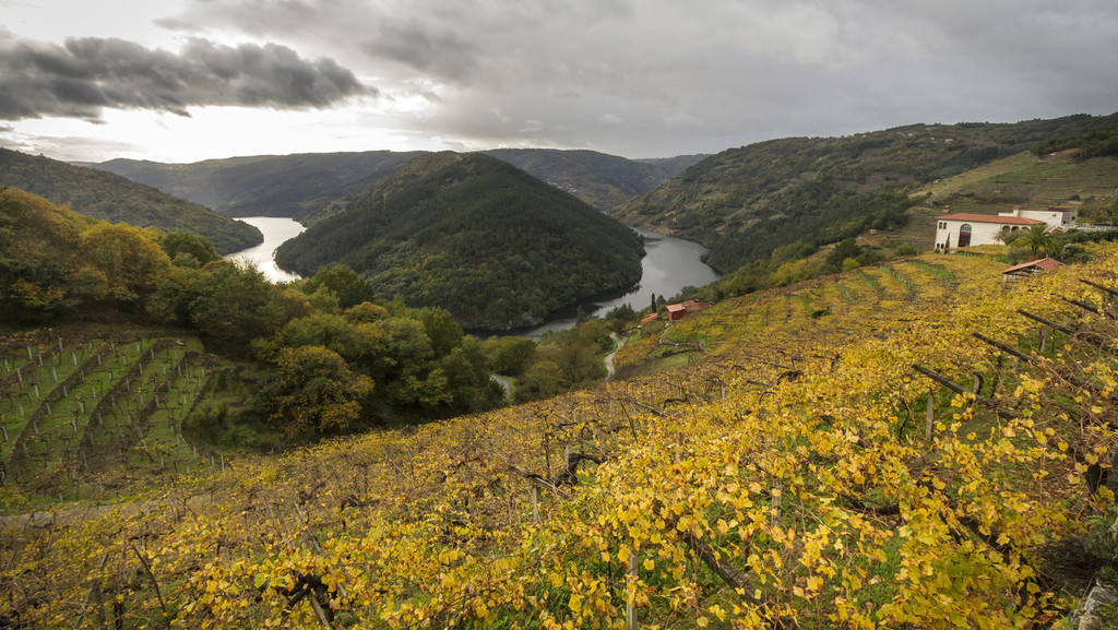 Рибейра Сакра (Ribeira Sacra) и каньон реки Сил (Cañón del Sil)