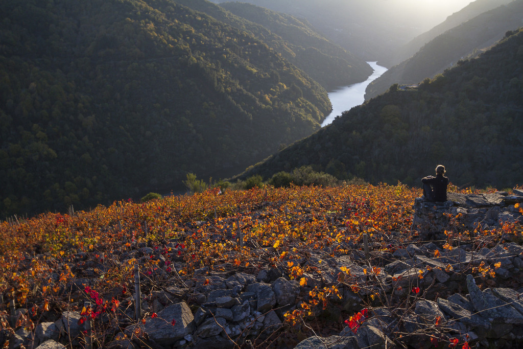 From Monforte de Lemos  to Santo Estevo de Ribas de Sil: heroic routes in the Ribeira Sacra