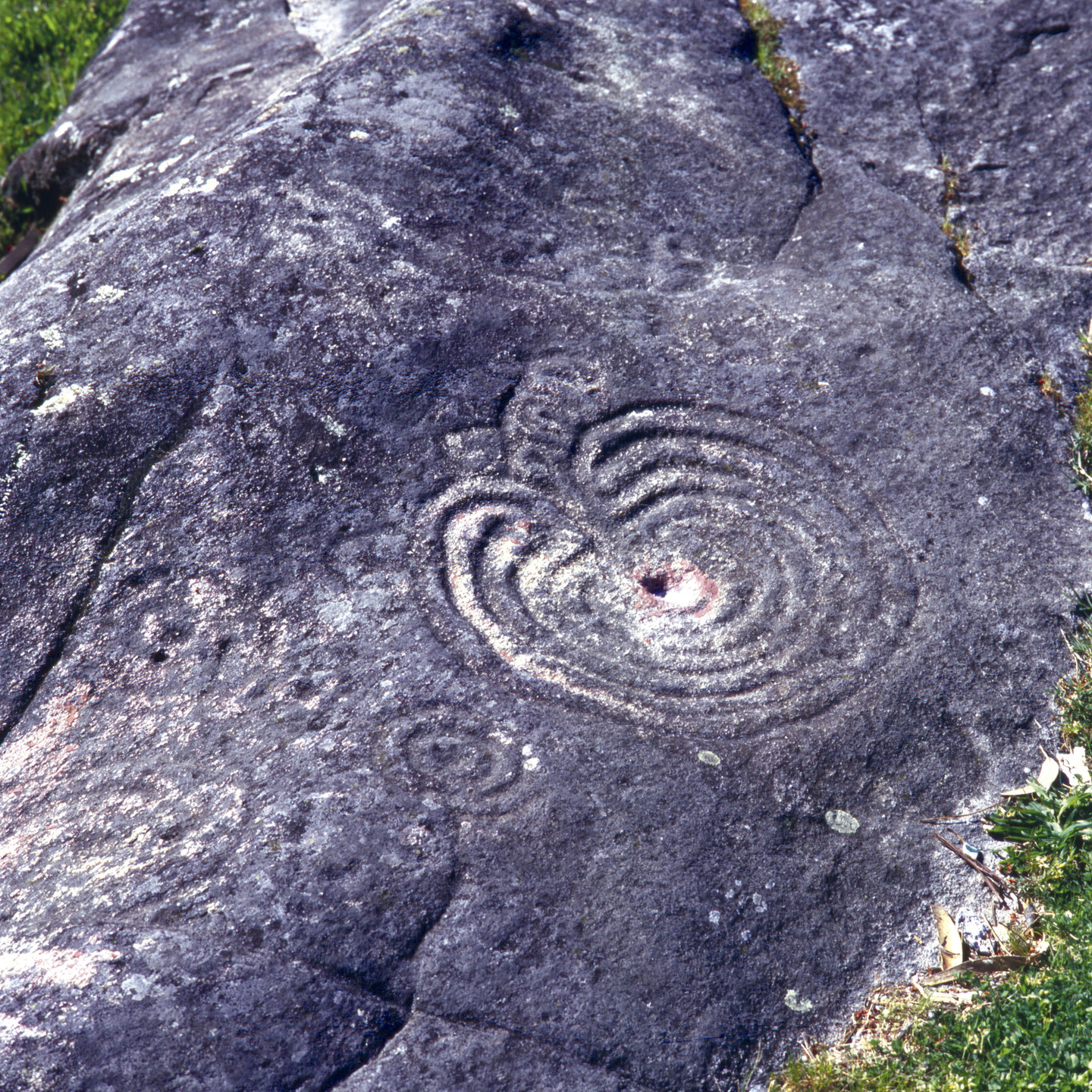 petroglyphe