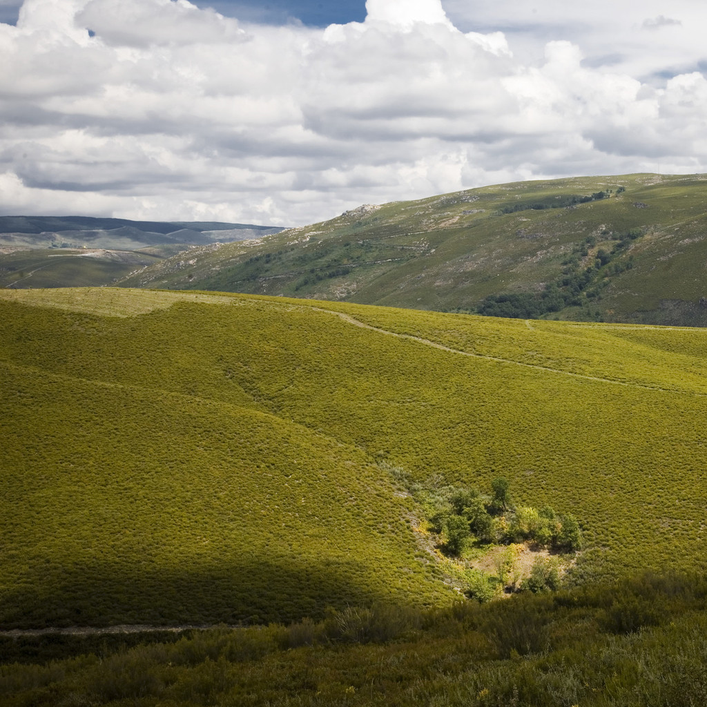 Von A Gudiña nach Pradoalbar