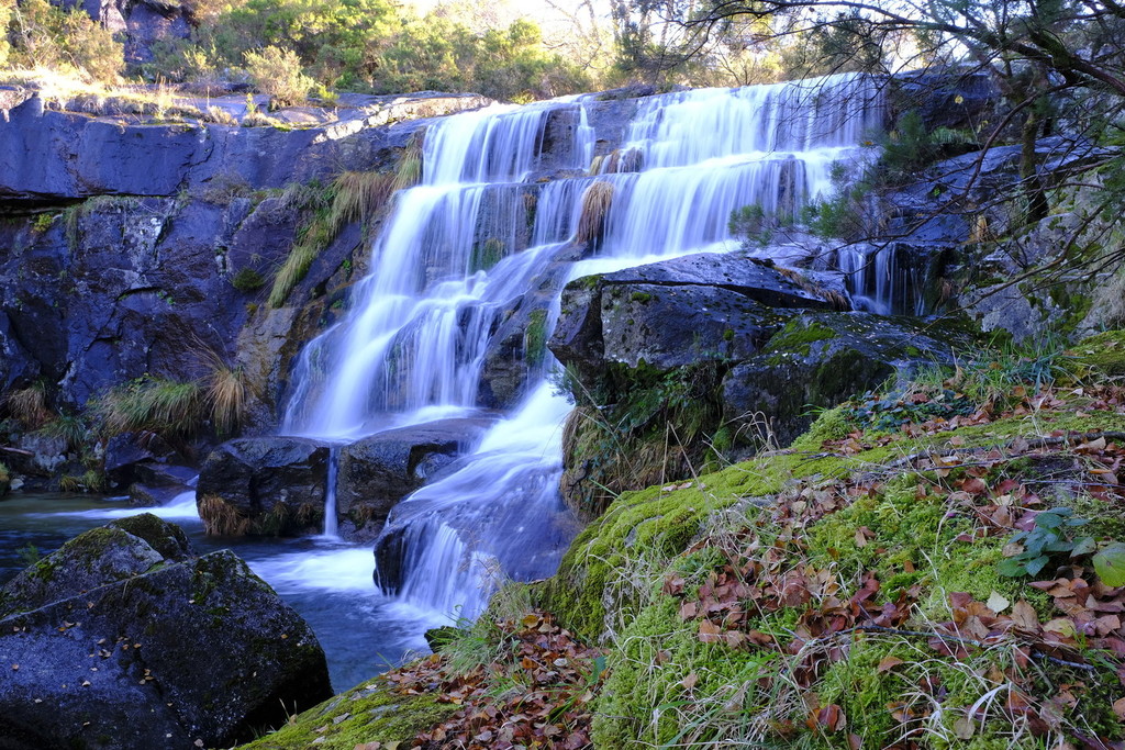 Dancing waters