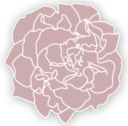 Pivoine